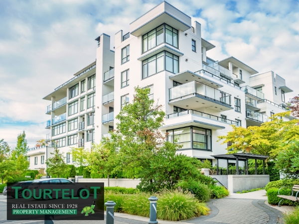 Condo Property Management in St. Petersburg